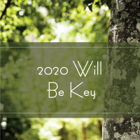 Trees Are Key 2020 Will be Key Trees Are Key 2020 Will be Key